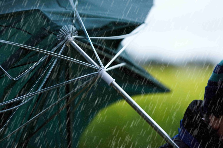 Skutki wichury na Pomorzu. Setki interwencji i ewakuacje