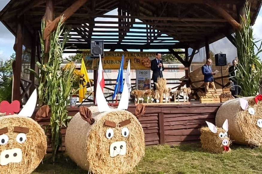 Lubań: Jutro Dzień Ziemniaka i Kukurydzy